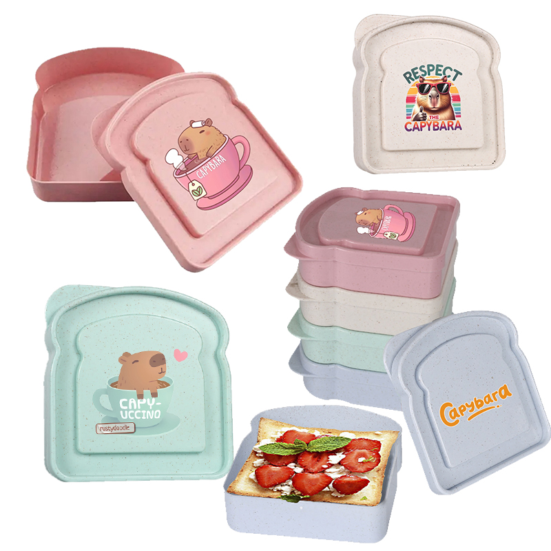 Food Storage Plastic Containers With Lids - กล่องเก็บอาหารลายคาปิบารา สำหรับใส่แซนวิช สลัด ผลไม้ ขนม กล่องอาหารกลางวันแบบมีฝาปิด