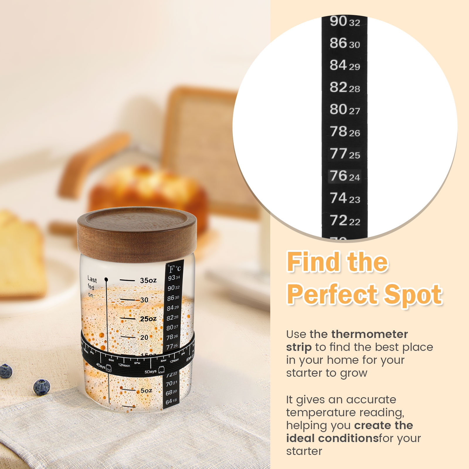 Sourdough ชุดโถสำหรับเริ่มใช้ง - Food Storage Jar Glass บทวิจารณ์และราคา