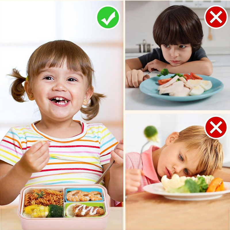 แผ่นกั้นกล่องอาหารกลางวันซิลิโ - Food Storage Dividers บทวิจารณ์และราคา